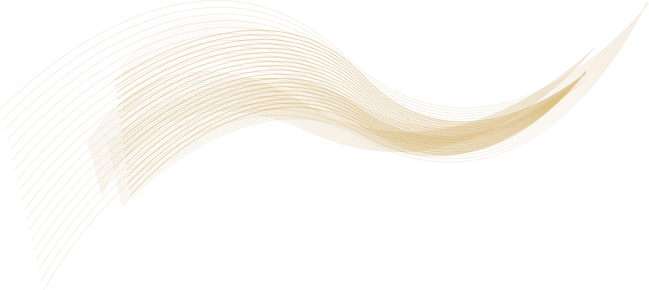 Línea divisoria decorativa